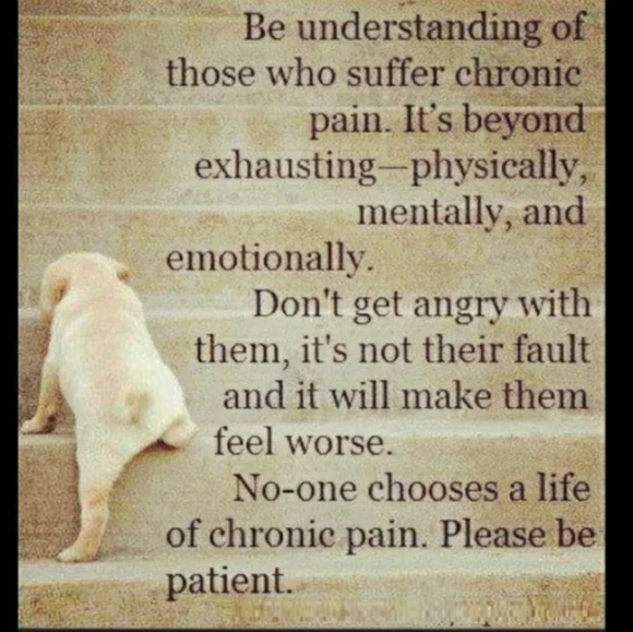 🪸Coral COTTON Cardigan Feminine Buttons FieldGear Sz M - Picture 5 of 16